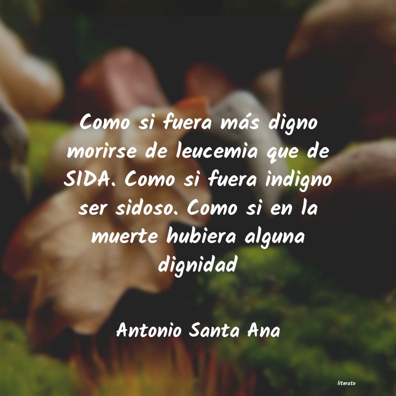 Frases de Antonio Santa Ana