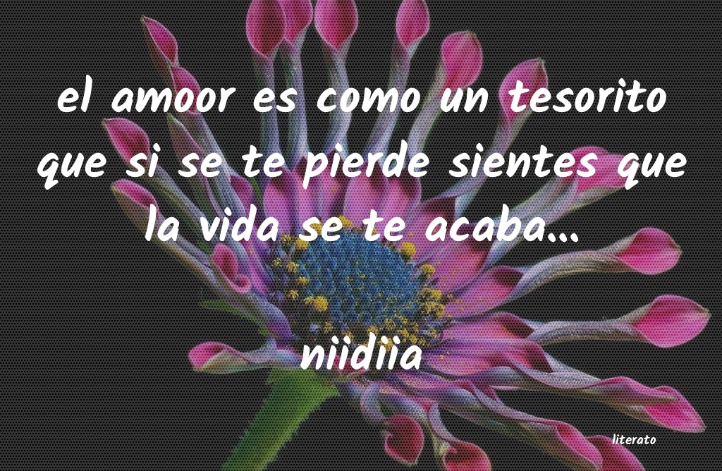 frases de niidiia