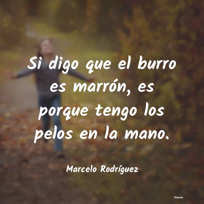 Frases de Marcelo Rodríguez
