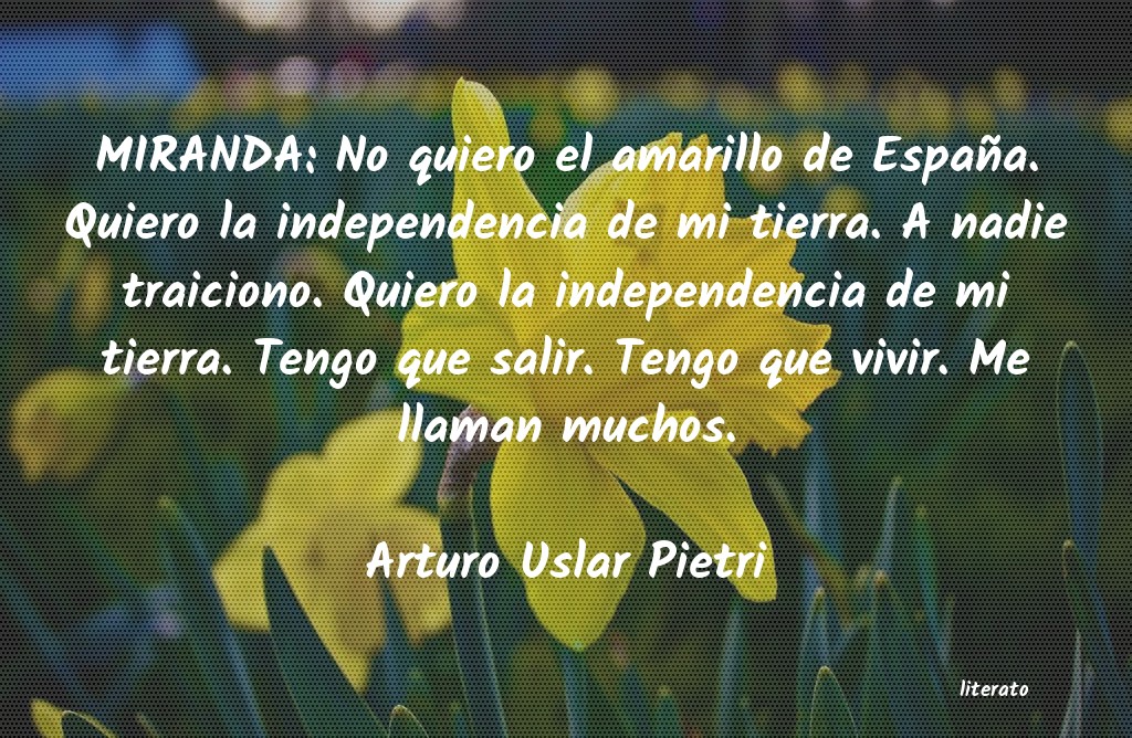 Frases de Arturo Uslar Pietri