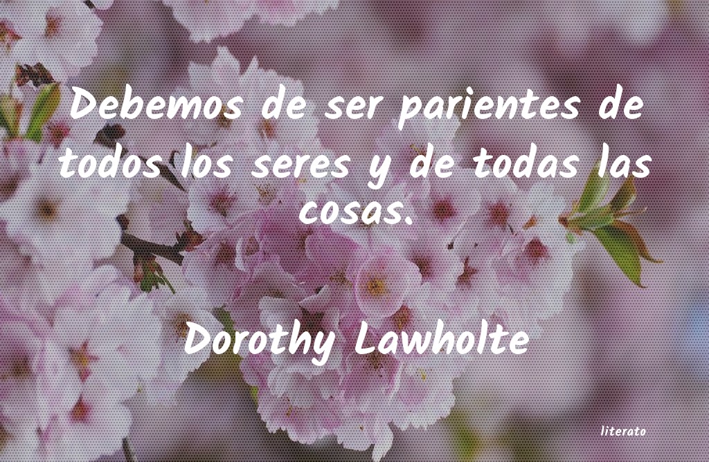 Frases de Dorothy Lawholte