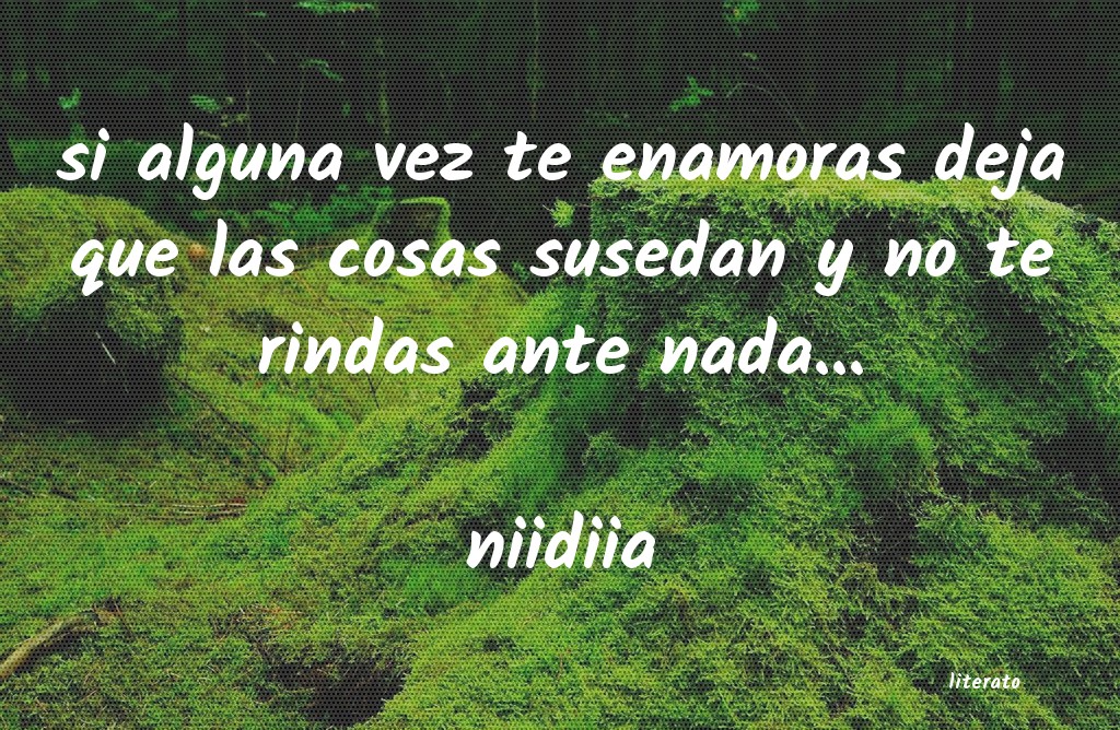 frases de niidiia