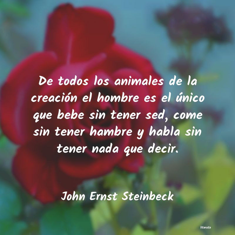 Frases de John Ernst Steinbeck