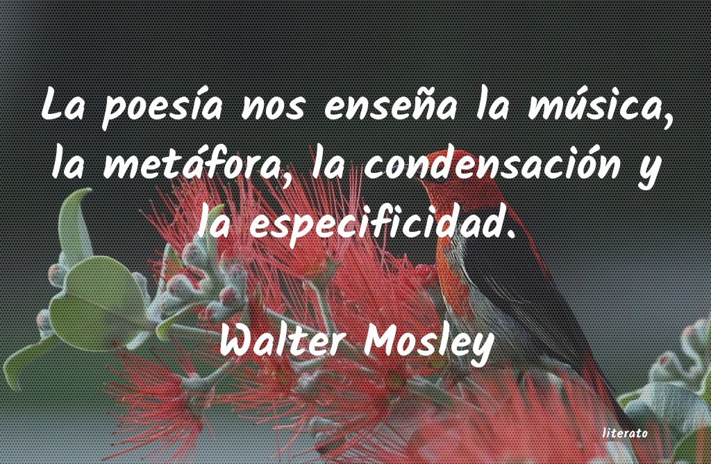 Frases de Walter Mosley