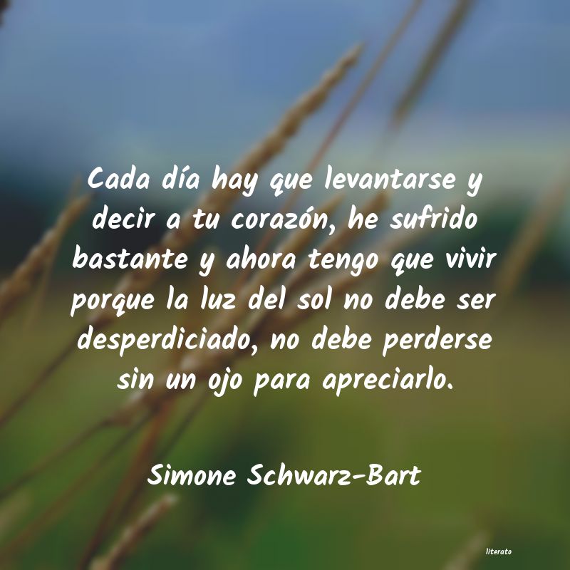 Frases de Simone Schwarz-Bart