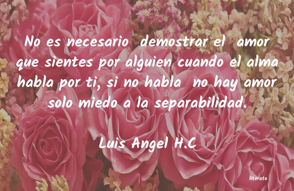 Frases de Luis Angel H.C