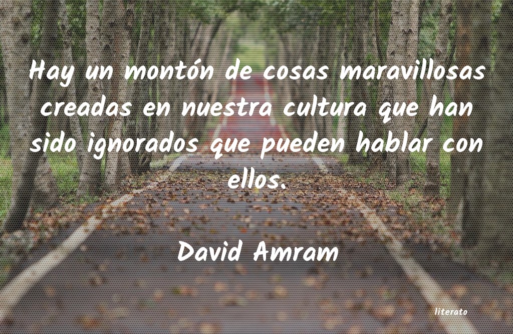 Frases de David Amram