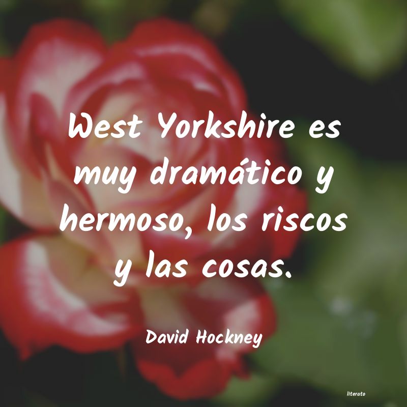 Frases de David Hockney