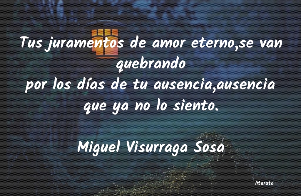 Frases de Miguel Visurraga Sosa