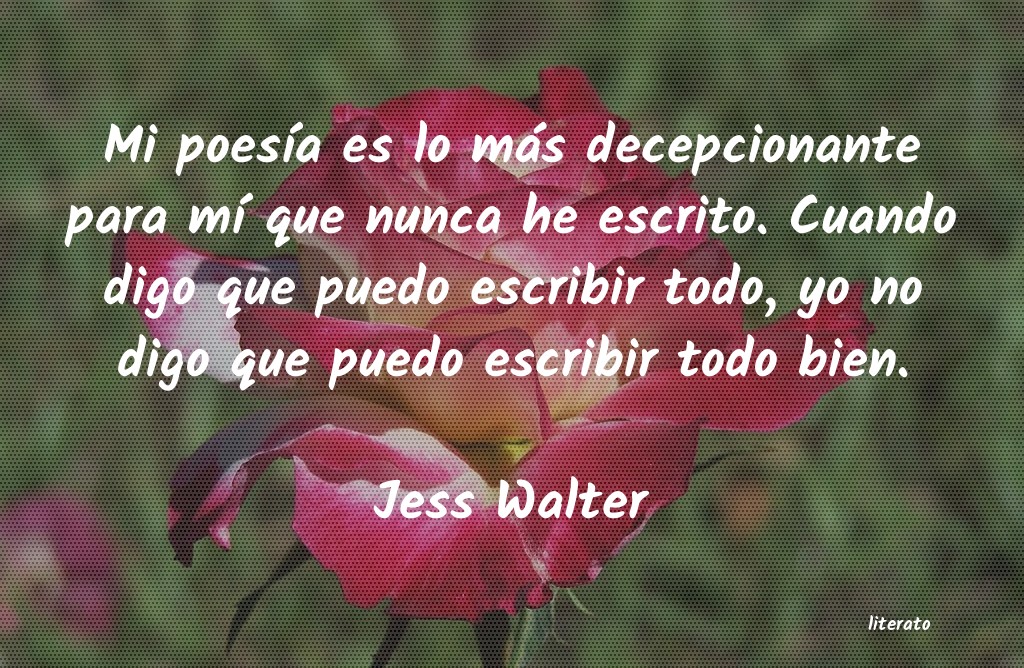 Frases de Jess Walter