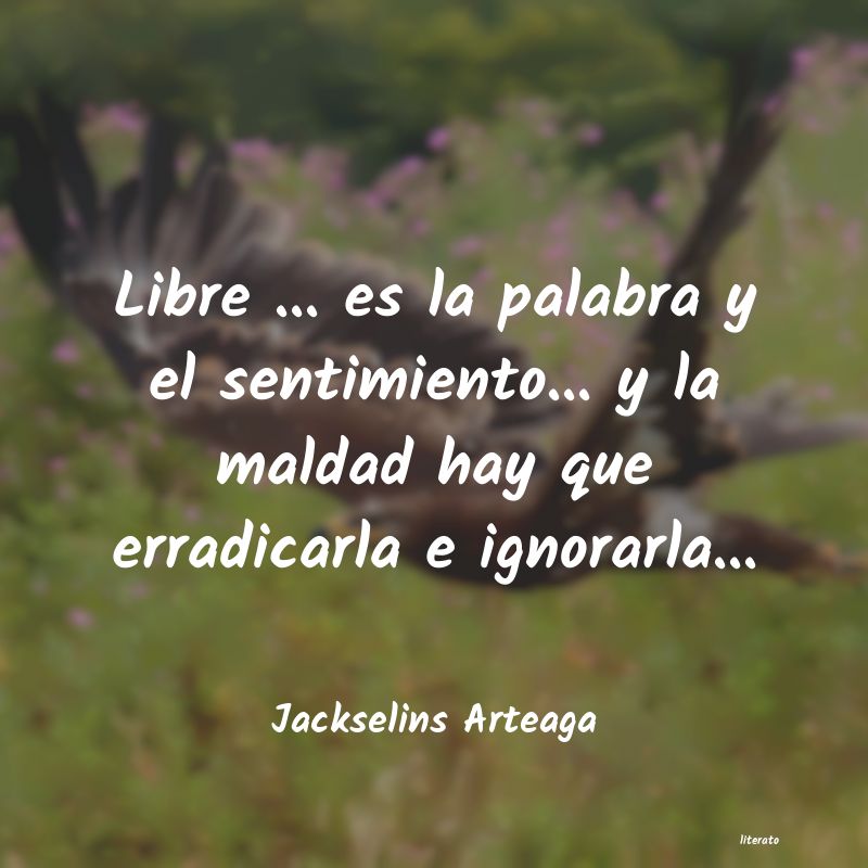frases de Jackselins Arteaga