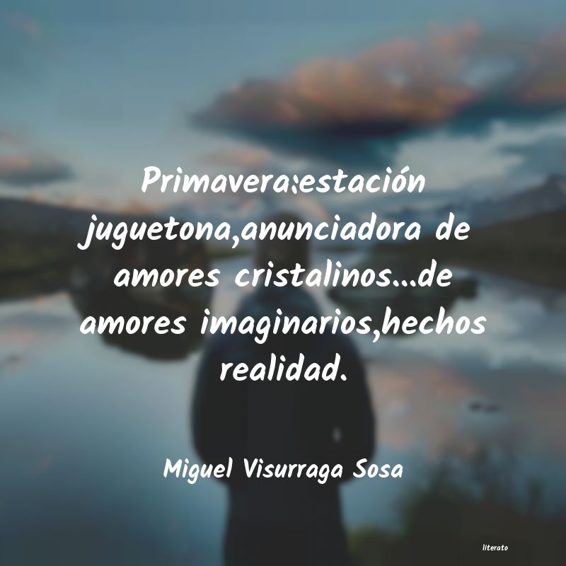 frases de Miguel Visurraga Sosa