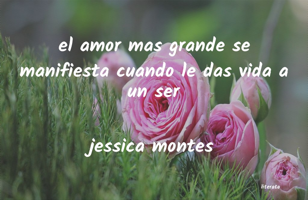 frases de jessica montes