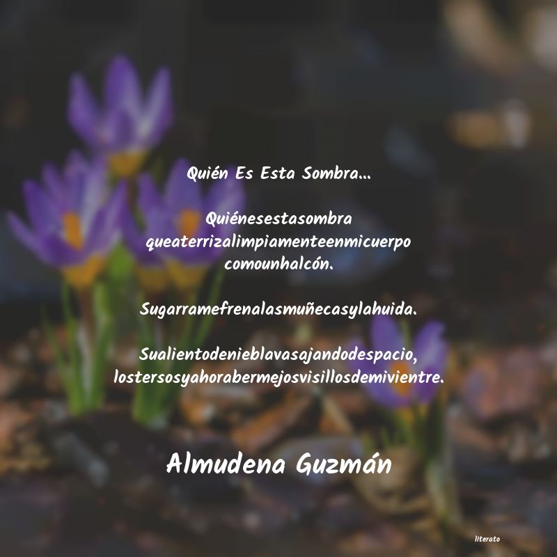 Frases de Almudena Guzmán