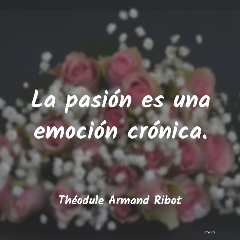 Frases de Théodule Armand Ribot