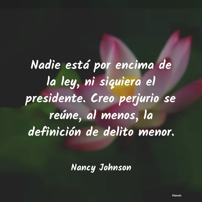 Frases de Nancy Johnson