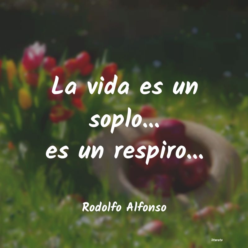 Frases de Rodolfo Alfonso