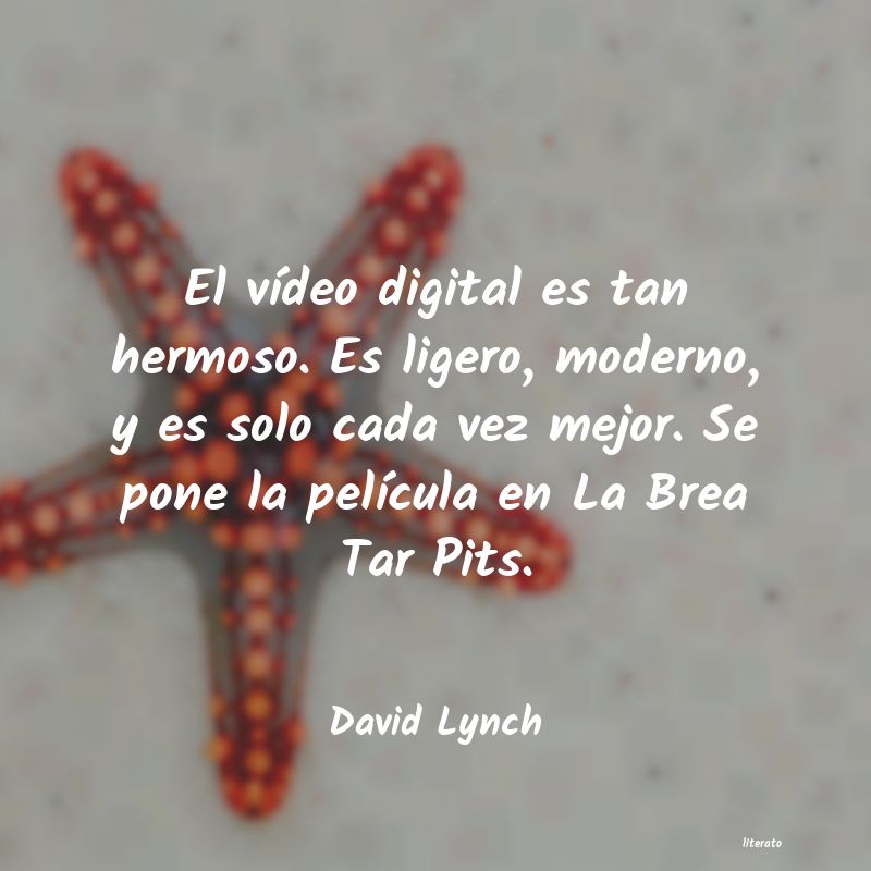 Frases de David Lynch