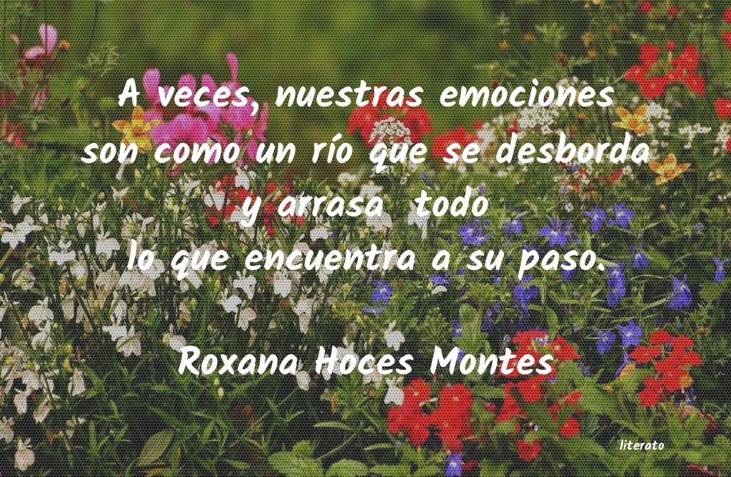 Frases de Roxana Hoces Montes