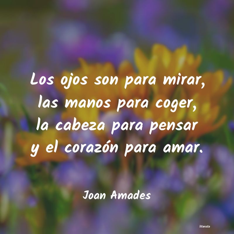 Frases de Joan Amades