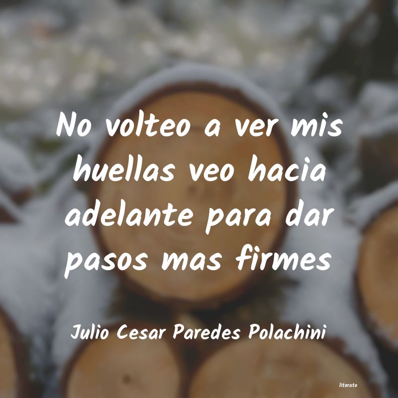 Frases de Julio Cesar Paredes Polachini