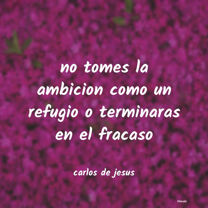 frases de carlos de jesus