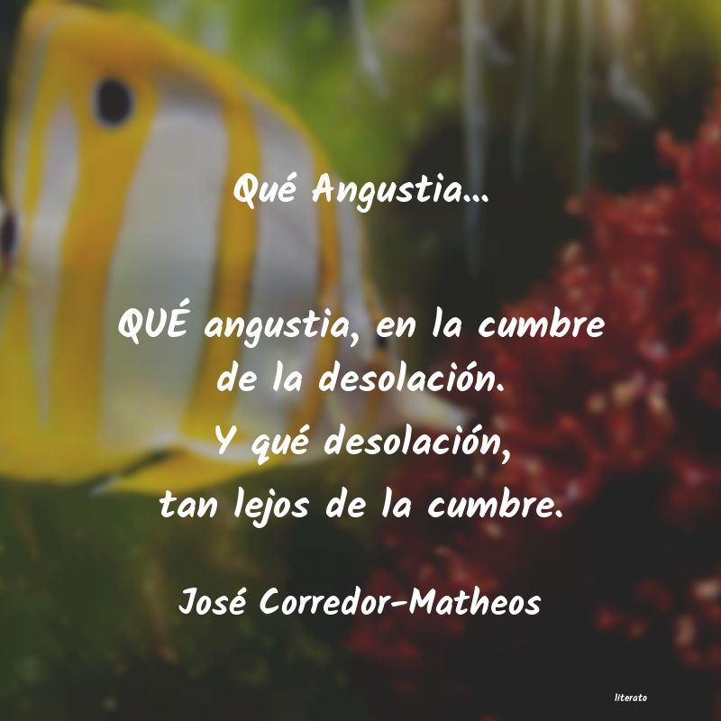 Frases de José Corredor-Matheos