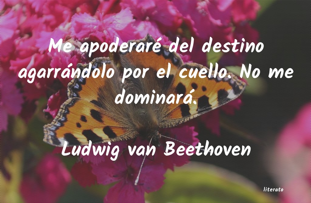 frases de Ludwig van Beethoven