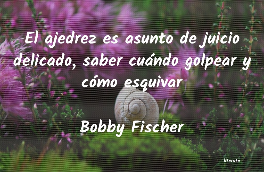 Frases de Bobby Fischer