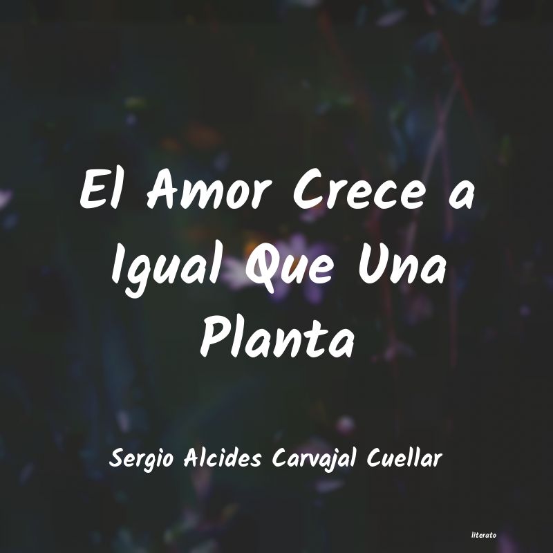 frases de Sergio Alcides Carvajal Cuellar
