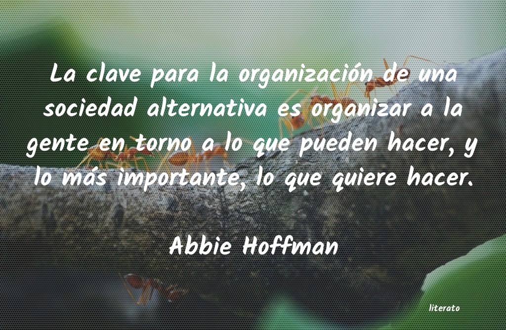 Frases de Abbie Hoffman
