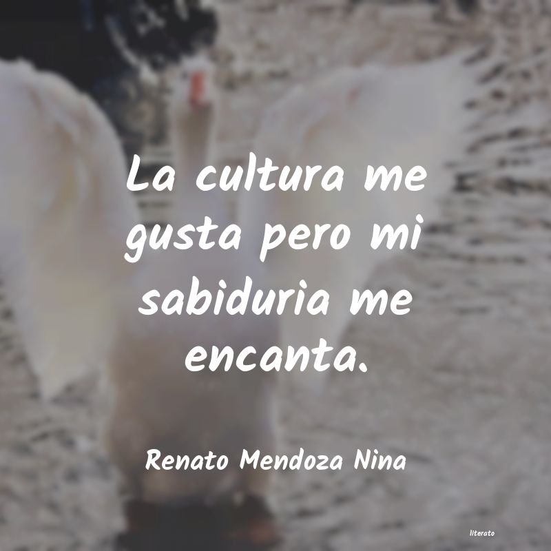 Frases de Renato Mendoza Nina