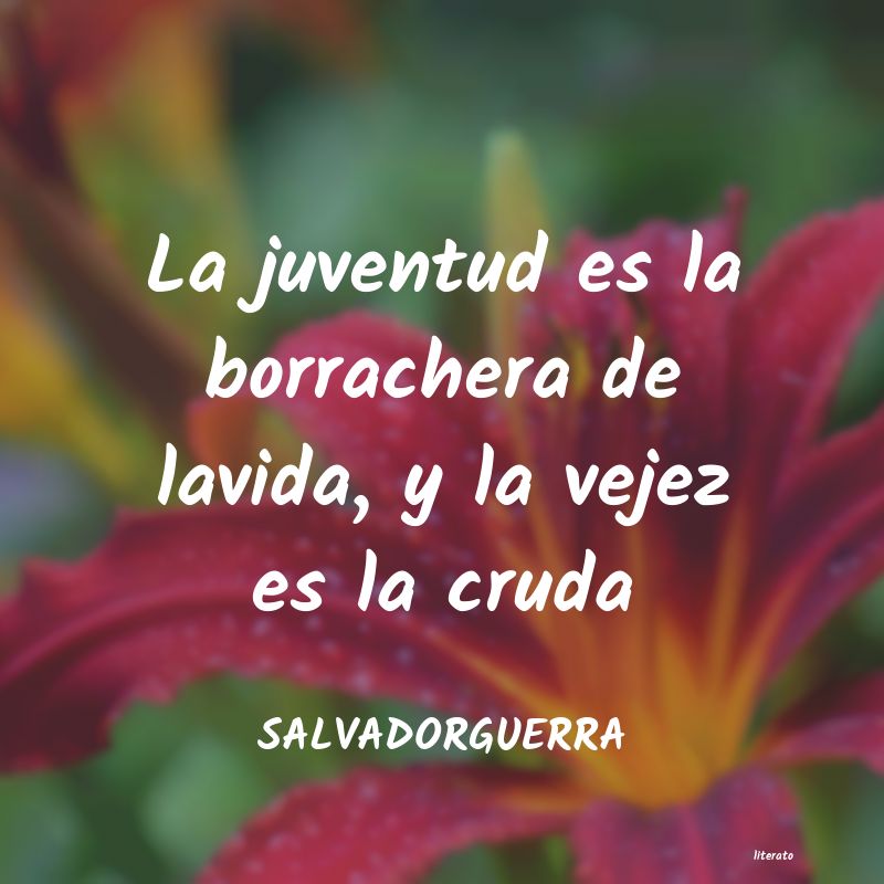 Frases de SALVADORGUERRA