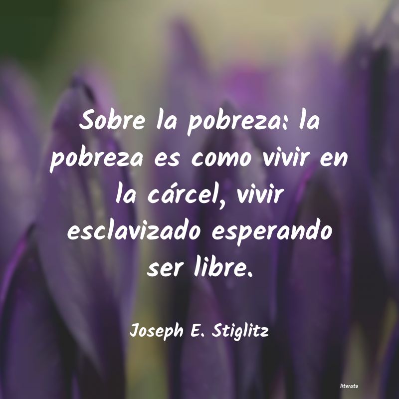 Frases de Joseph E. Stiglitz