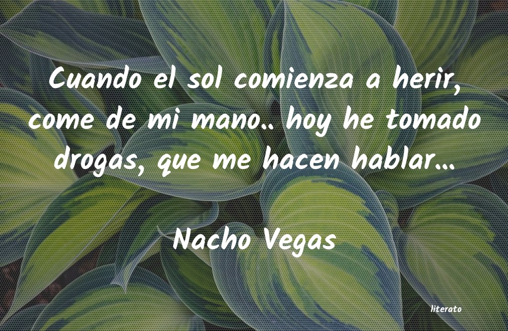 Frases de Nacho Vegas