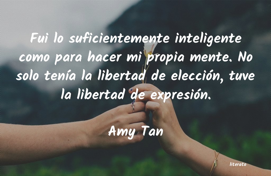 Frases de Amy Tan