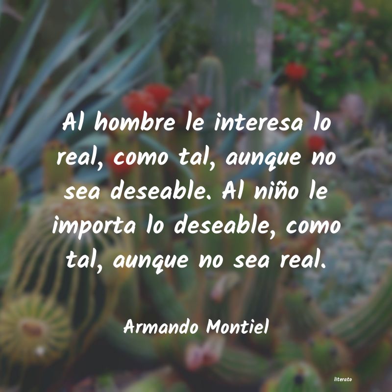 Frases de Armando Montiel