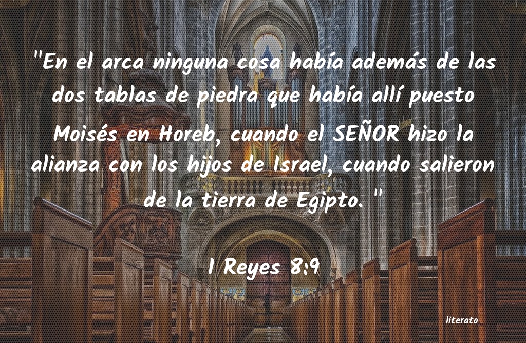 La Biblia - 1 Reyes - 8:9