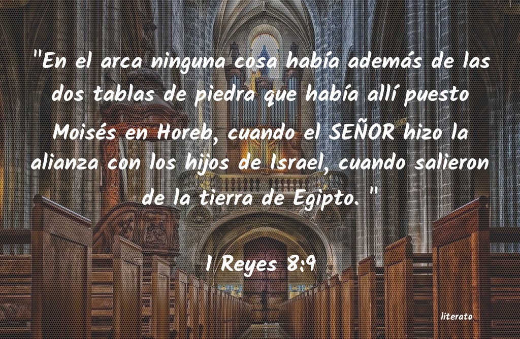 La Biblia - 1 Reyes - 8:9