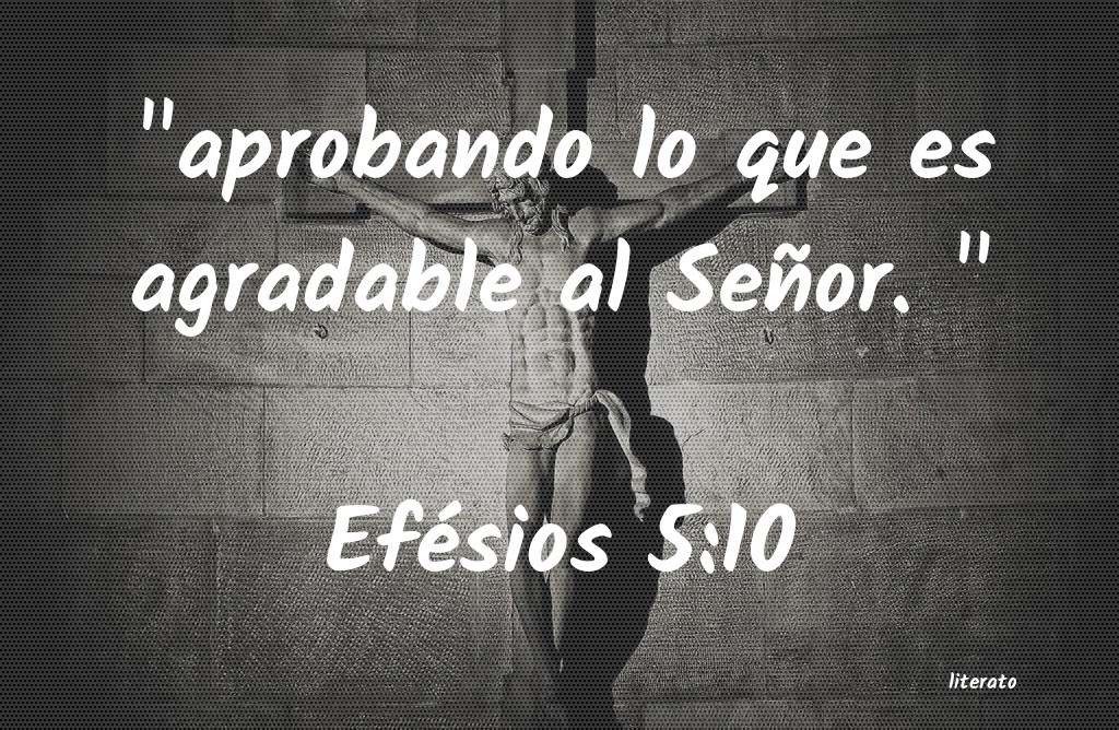 efesios 5 10 11 biblia catolica