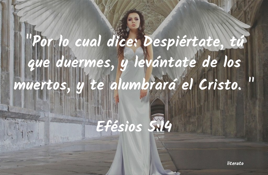 La Biblia Efésios 5 14 La Biblia Efésios 5 14