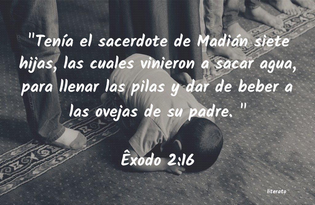 exodo 16 2 8