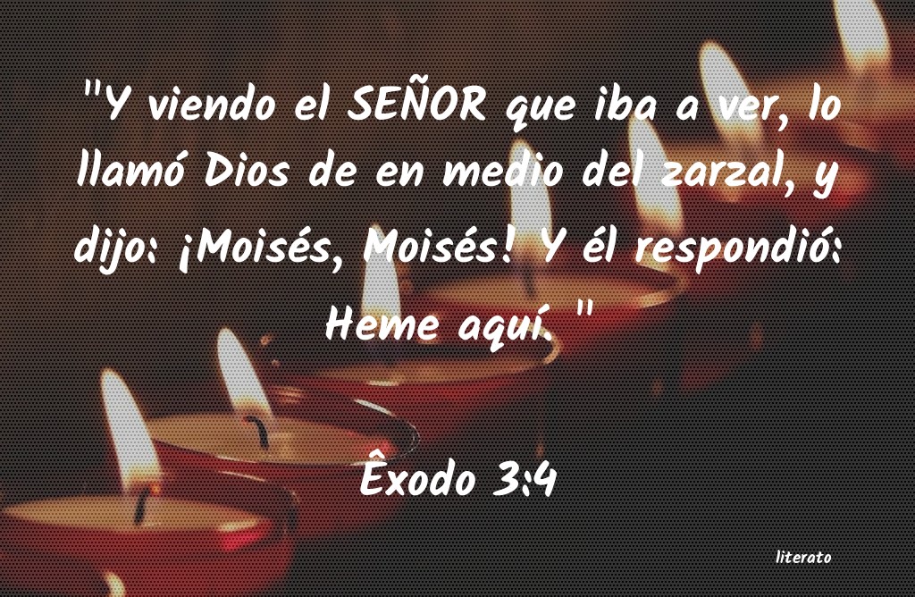 exodo 2 3 4