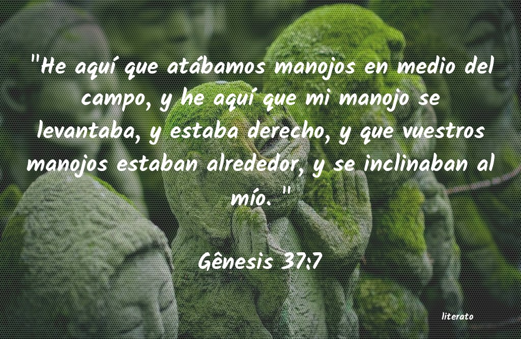 La Biblia G nesis 37 7 la-biblia-g-nesis-37-7