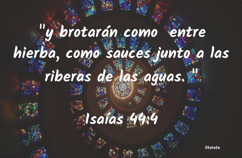 La Biblia IsaÃ­as 444
