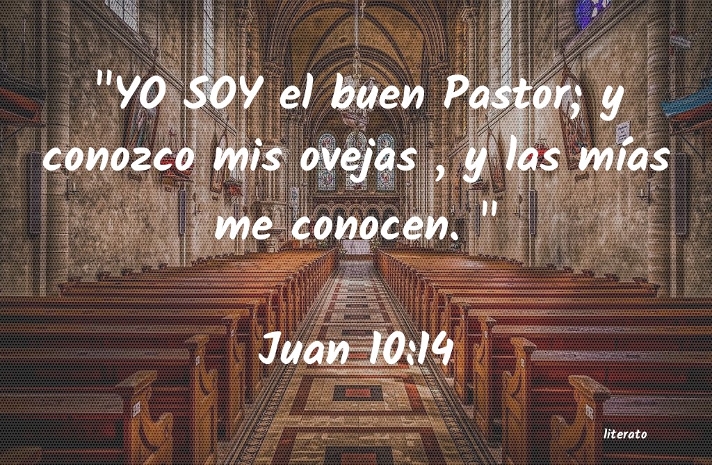juan 10 13 14
