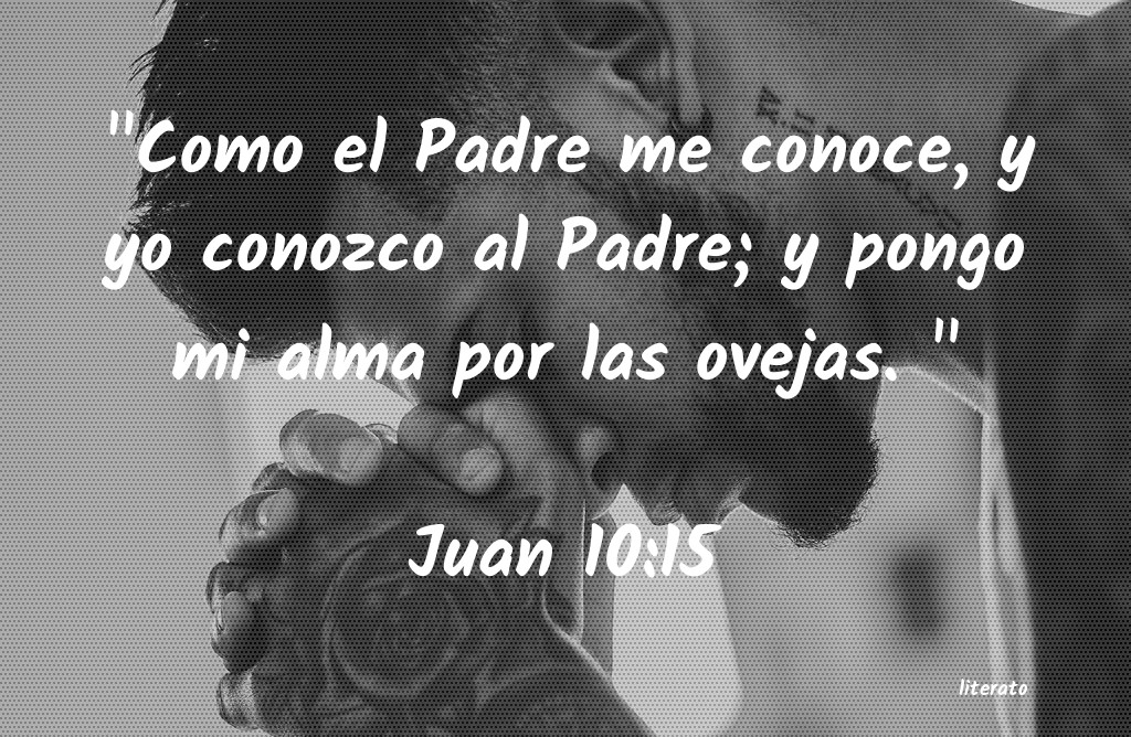 juan 10 11 15 biblia latinoamericana
