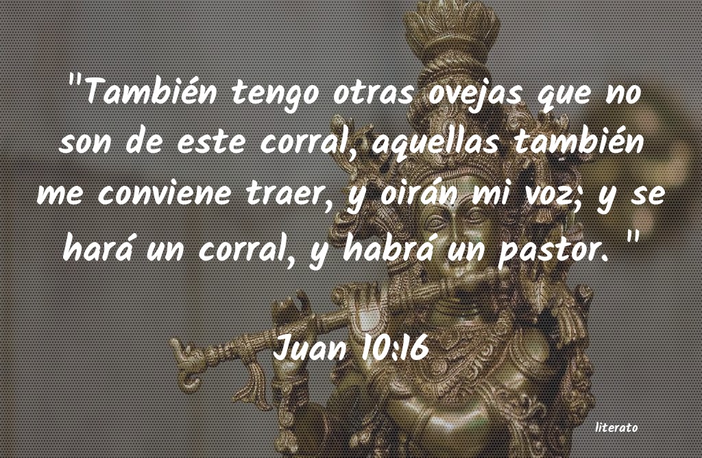 juan 10 11-16 biblia latinoamericana