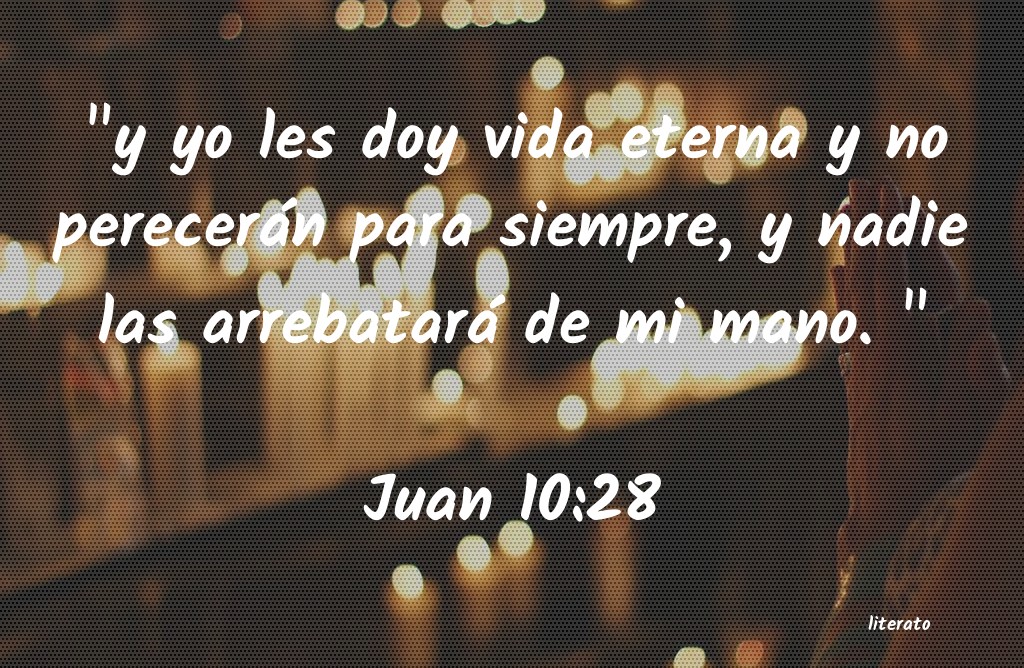 juan 10 28 29 reflexión