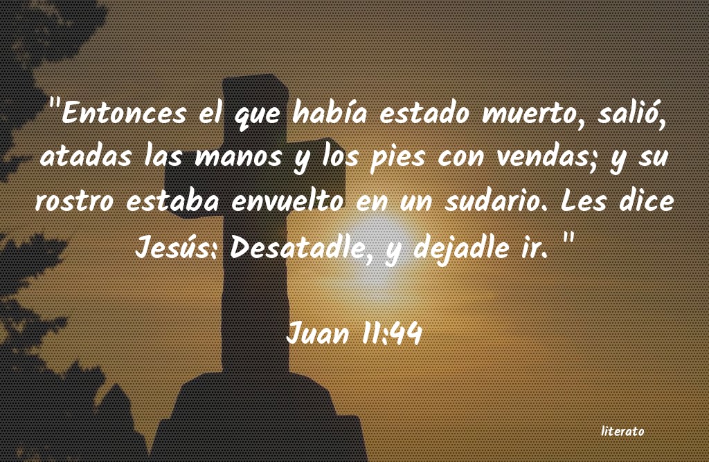 juan 11 14 biblia catolica